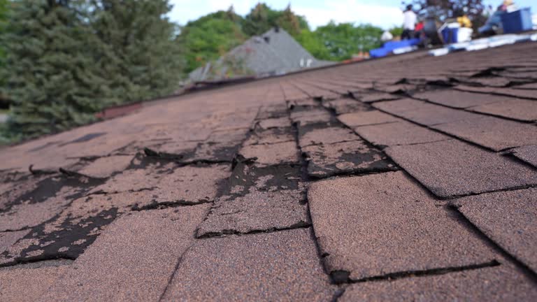Best Wood Shake Roofing  in Coshocton, OH