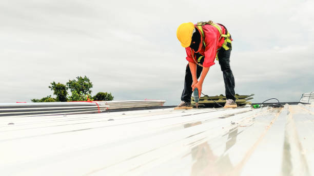 Best Sheet Metal Roofing  in Coshocton, OH