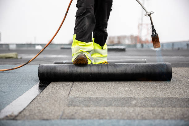 Best Roof Insulation Installation  in Coshocton, OH